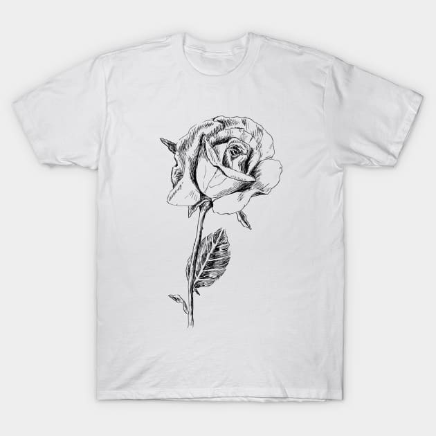 Rose Print T-Shirt by rachelsfinelines